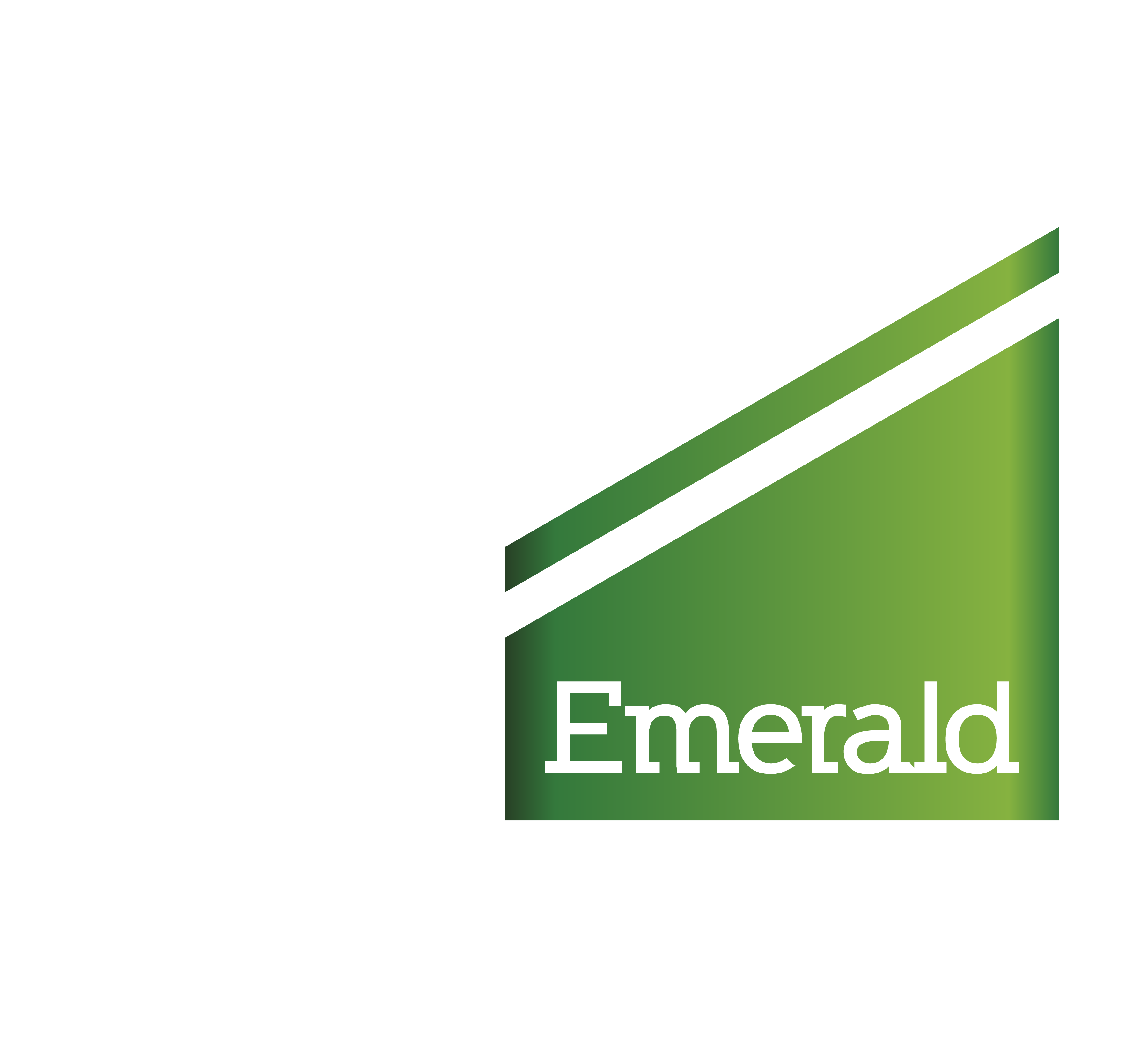 TVS Emerald logo Image